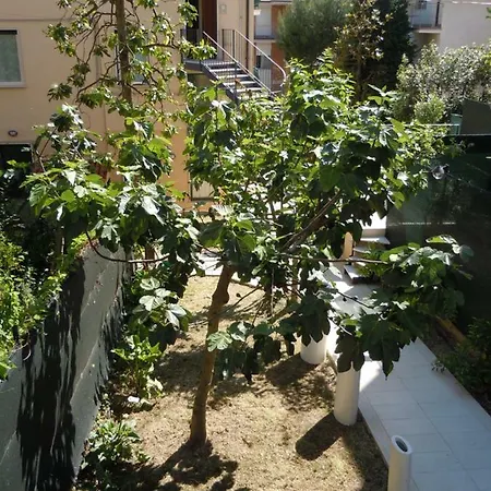 A Casa Di Saso * 费尔莫